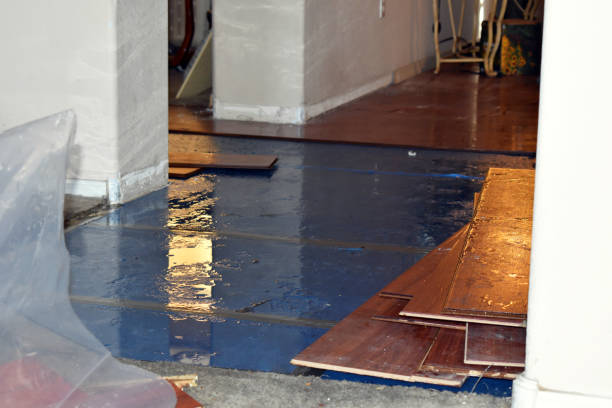Professional Burst Pipe Cleanup technician working in Altair, TX